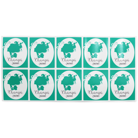 Stickers shampoing bio diy
