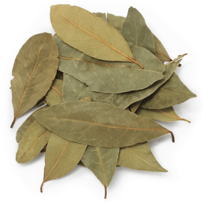 Folhas de Louro