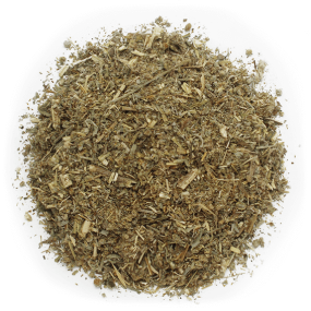 Absinto planta cortada