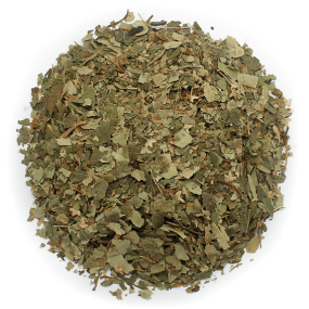 Feuilles de bouleau séchées