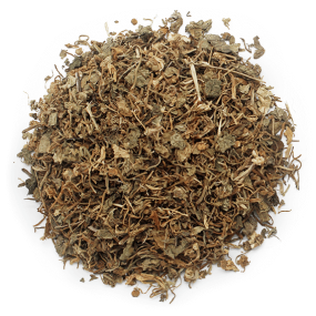 Centelha asiatica desidratada