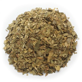 Hoja Ginkgo Biloba Hoja Ginkgo Biloba