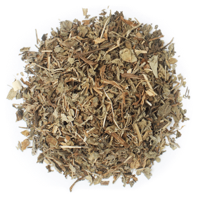 Dente de leão planta desidratada