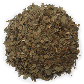 Feuilles de noyer séchées