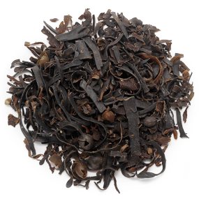 Fucus Algues Fucus Algues