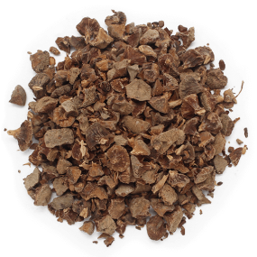 Bagas cipreste-comum