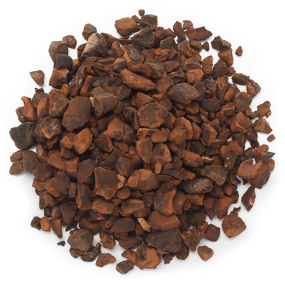 Noz-de-cola fruto cortado