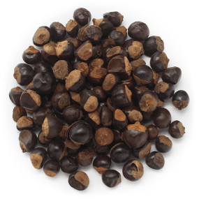 Semillas de guarana Semillas de guarana