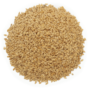 Graines de lin doré