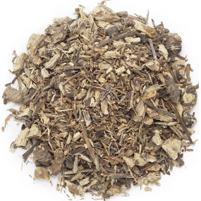 Equinacea raiz cortada