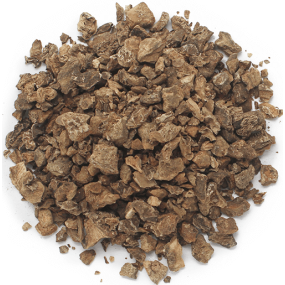 Raiz de garra-do-diabo