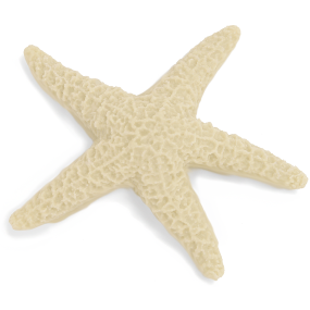 Forma de Silicone Estrela Marinha Asteroidea Forma de Silicone Estrela Marinha Asteroidea