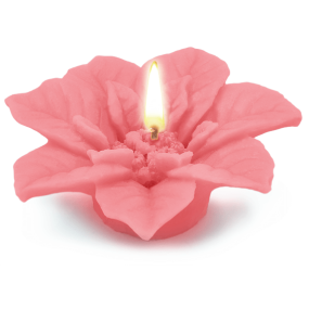 Molde velas flor de navidad Molde velas flor de navidad
