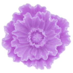 Molde papoila Papaver