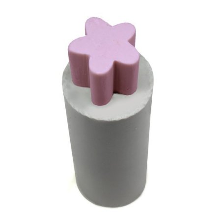 Fleur d’inclusion de moisissure