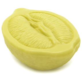 Molde de silicone Meio Limão