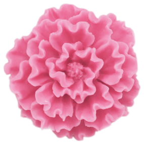 Molde peonia Molde peonia