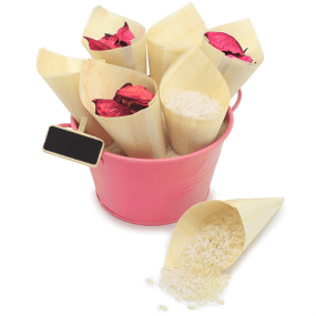 Cones de bambu Cones de bambu