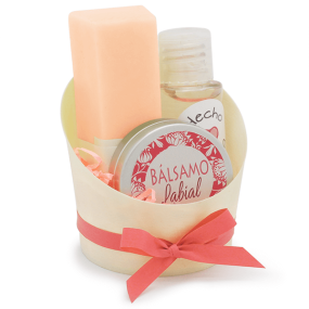 Receptáculo de bambu cilíndrico Receptáculo de bambu cilíndrico