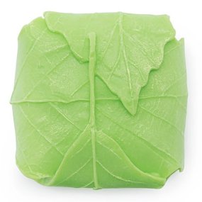 Molde sabonete embrulhado em folhas