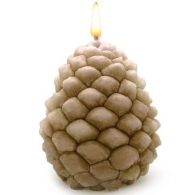 Molde velas pinha do bosque