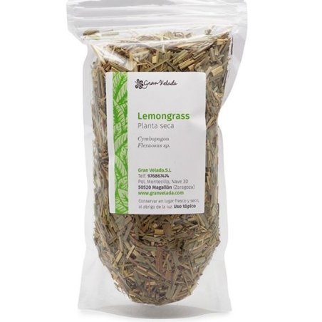 Lemongrass, planta
