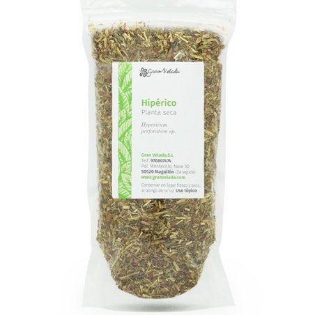 Hipérico, planta