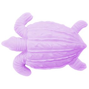 Moisissure de tortue Moisissure de tortue