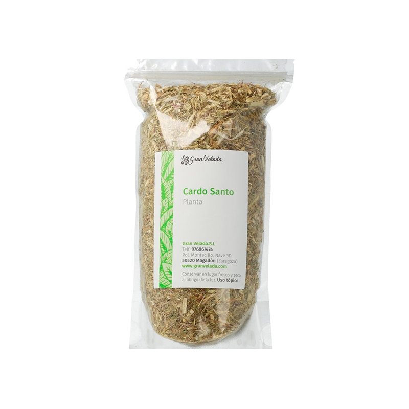 Planta de cardo-bento