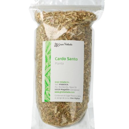 Planta de cardo-bento