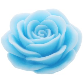 Rosa de maio para fazer velas Rosa de maio para fazer velas