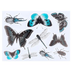 Autocollants anti-insectes