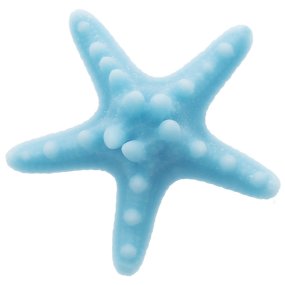 Petite moisissure d’étoile de mer Petite moisissure d’étoile de mer