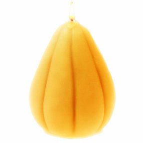 Molde de calabaza silvestre Molde de calabaza silvestre