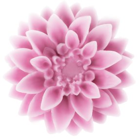 Dahlia à fleurs de moisissure