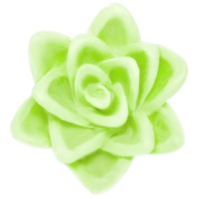 Moisissure florale flottante