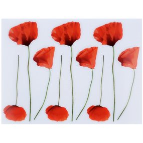 Pegatinas para decoupage amapolas Pegatinas para decoupage amapolas