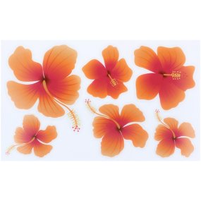 Adesivos para decupagem hibiscus