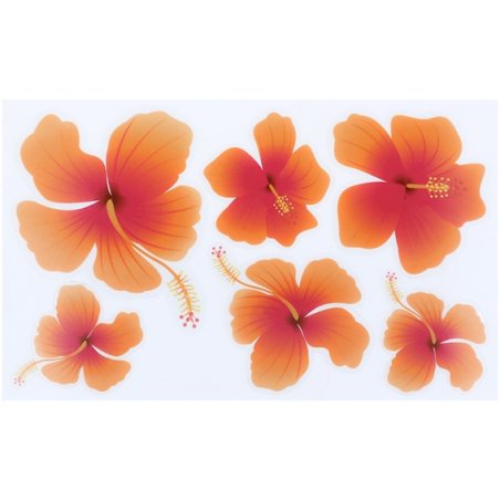 Adhésifs pour écoupage de l’hibiscus