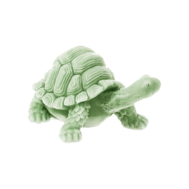 Molde Tartaruga 3D, para manualidades‏ 