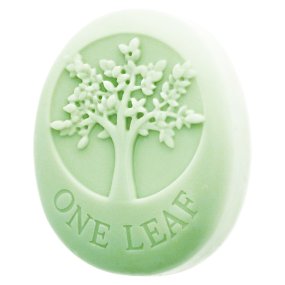 Molde arvore de tilia