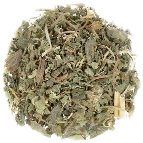 Ortiga verde hoja Ortiga verde hoja