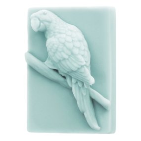 Moisissure de perroquet