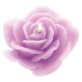 Molde Rosa Aberta Molde Rosa Aberta
