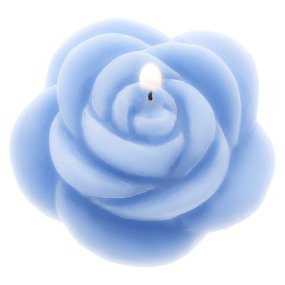 Moule rose ouvert 3D