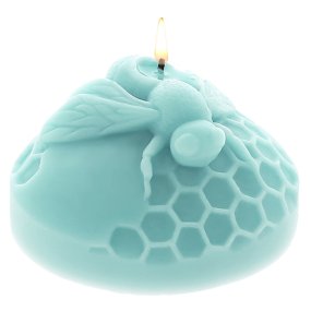 Moisissure d’abeille dans la ruche Moisissure d’abeille dans la ruche