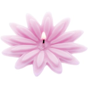 Fantaisie de fleur de moisissure Fantaisie de fleur de moisissure