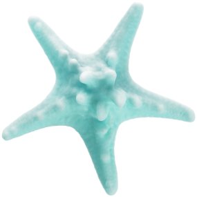 Molde estrella de mar mediana Molde estrella de mar mediana