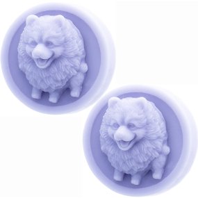 Moisissure pour chien de Poméranie