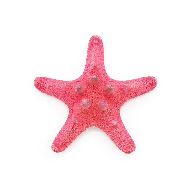Estrela marinha horn vermelha